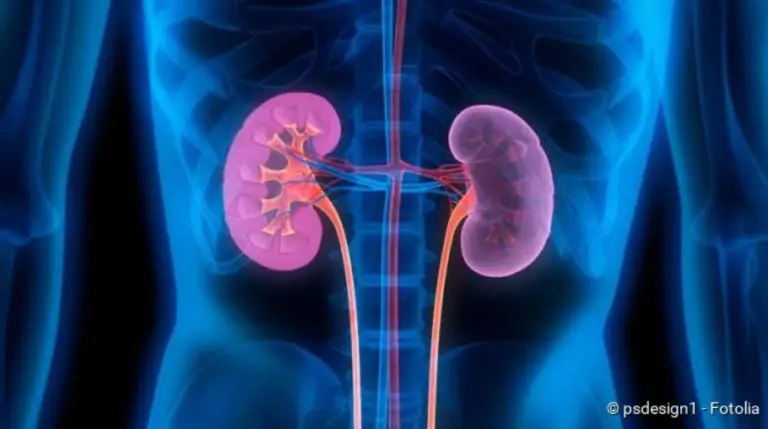 Inflammation of renal pelvis: symptoms, causes, therapy