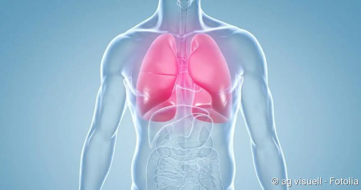COPD: Symptome, Ursachen, Folgen, Therapie